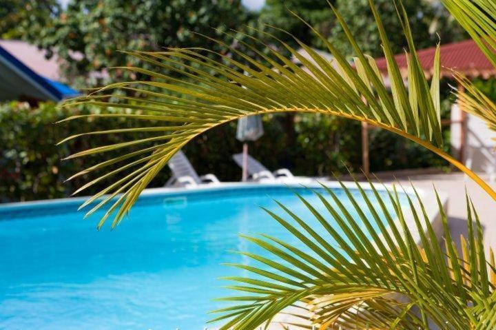 Hotel Le Rotabas แซนต์-อาน ภายนอก รูปภาพ