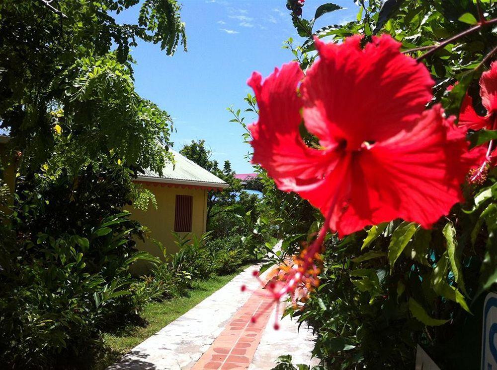Hotel Le Rotabas แซนต์-อาน ภายนอก รูปภาพ
